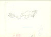 Original production cel -"Little Mermaid"- by Golden Films 129 SIZE 16.50" x 10.50"