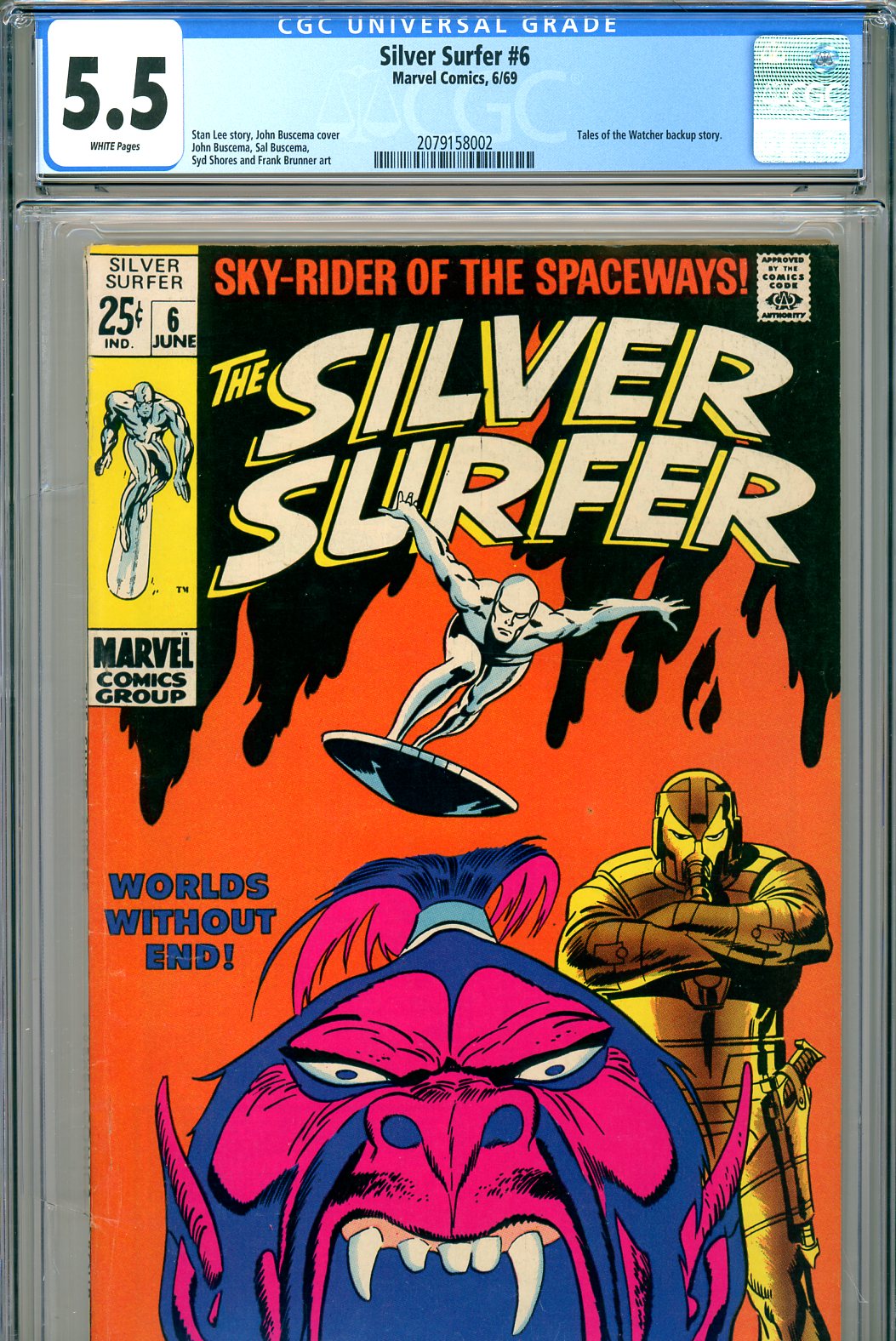 Silver Surfer - 006